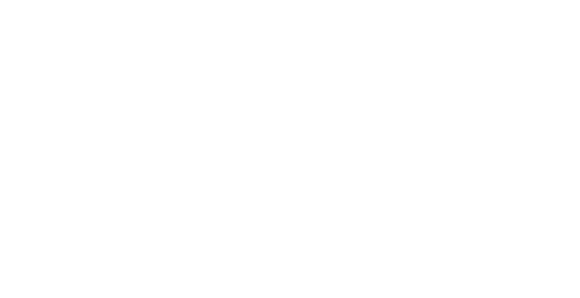 TNH Hospital Group
